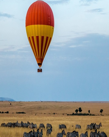 Tanzania Safari Tour Packages in 2023,2024,2025 | Widerange African Safaris Tanzania safari tours packages with affordable cost