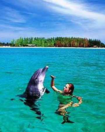 6 Days Zanzibar Safari Tour Package