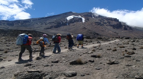 7 days Lemosho route Kilimanjaro climb group in 2023,2024