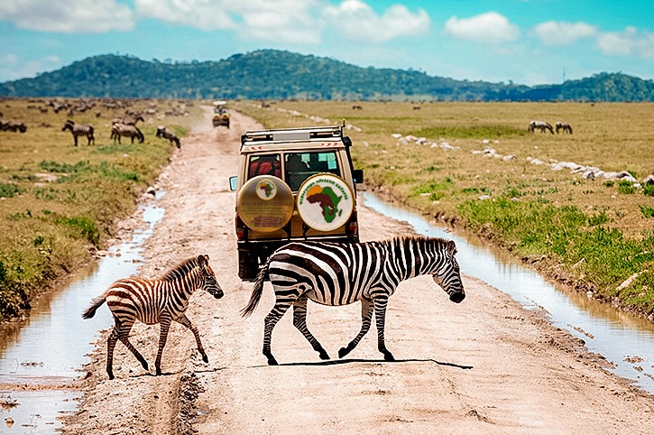 Best 2 Days Tanzania Sharing Safari - Join Small Group 2024
